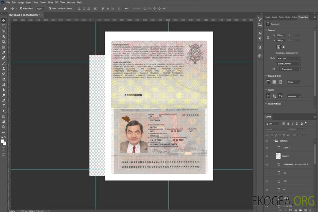 Passeport d'urgence belge template Passeport d'urgence belge template